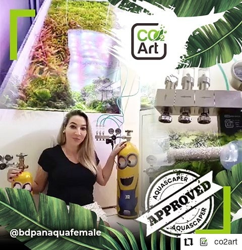 @bdpanaquafemale tarafından Instagram gönderisi