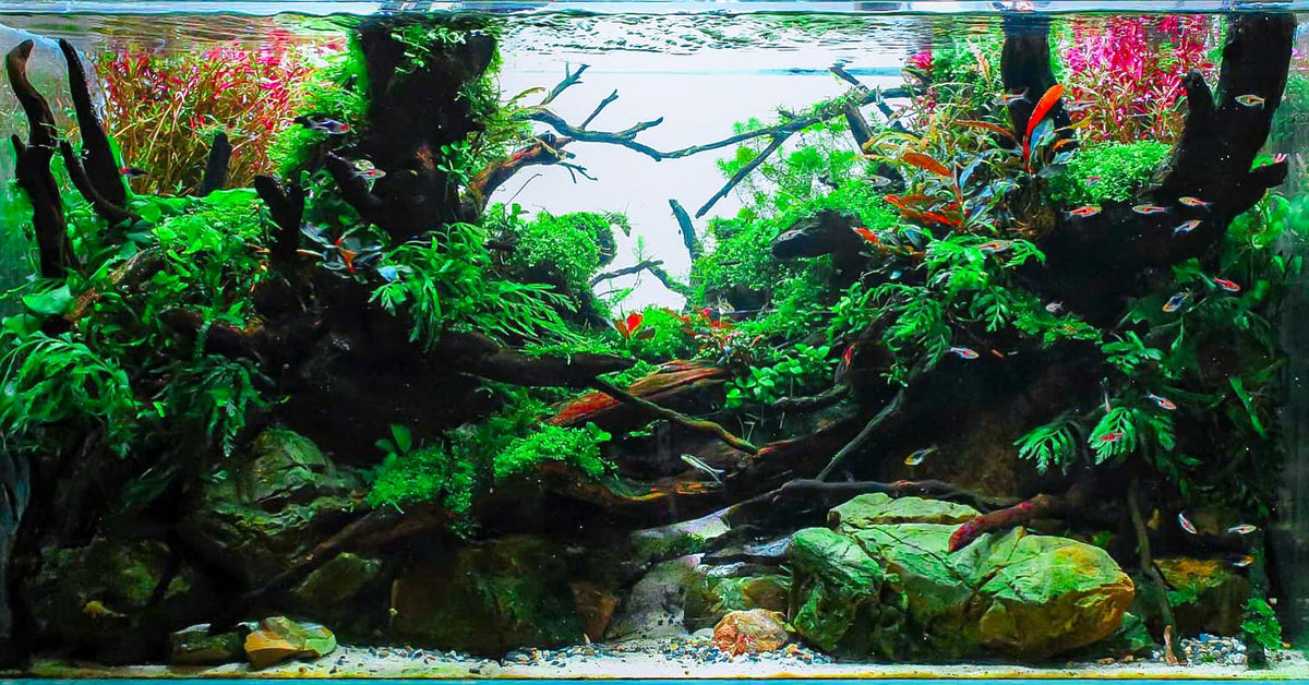 @jackfryerscapes tarafından Instagram gönderisi