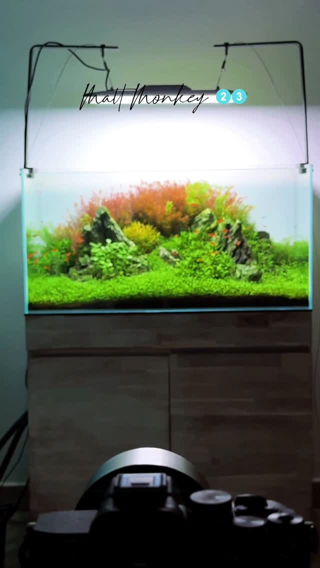 @mattmonkey23 tarafından Instagram gönderisi