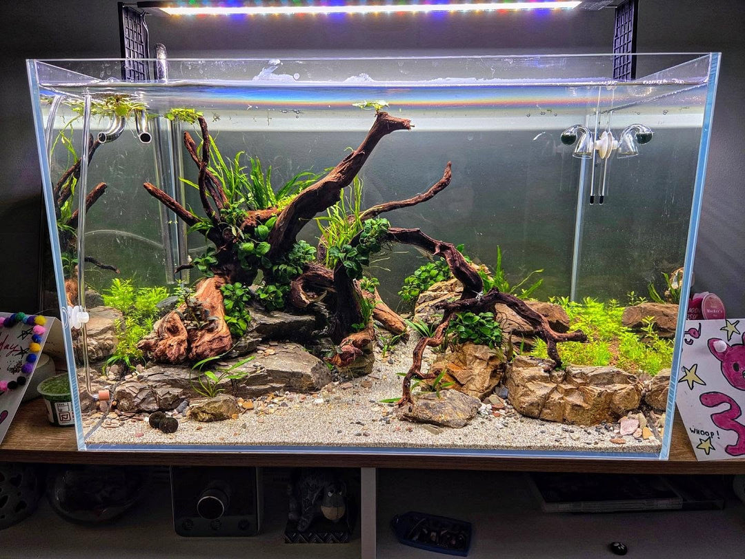 @earl_scapes tarafından Instagram gönderisi