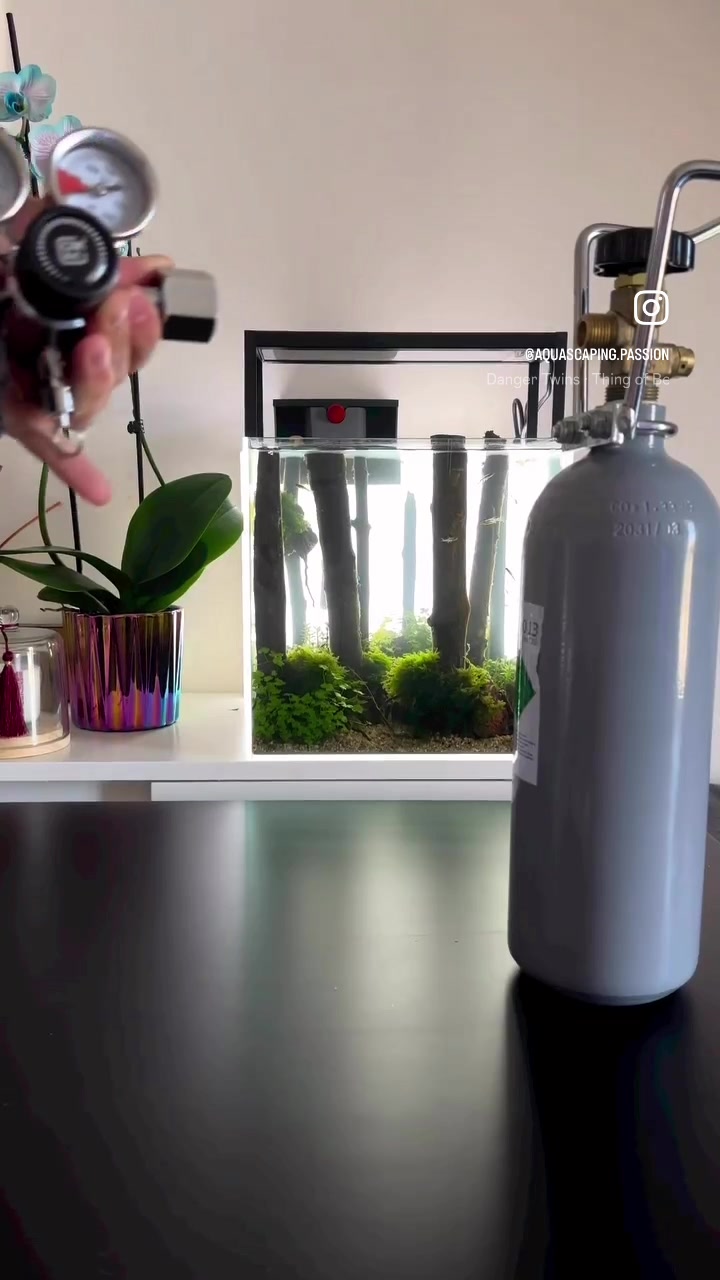 @aquascaping.passion tarafından TikTok videosu