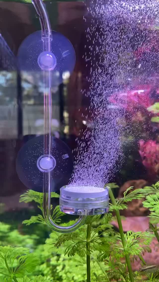 @co2art tarafından Instagram gönderisi