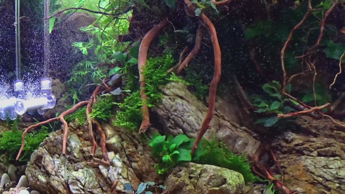 Videoyu yükle: Bubbles like dust: Bazooka in-tank and inline diffusers turn CO2 into a fine mist